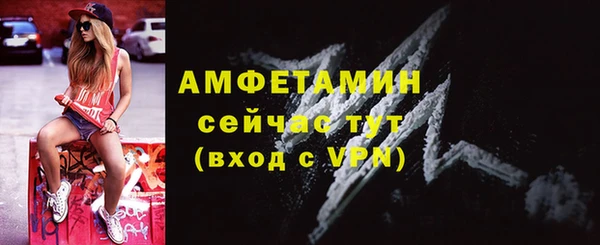 мдпв Каменногорск