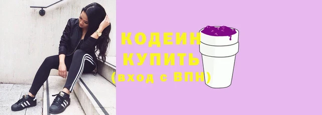 амф Каменка