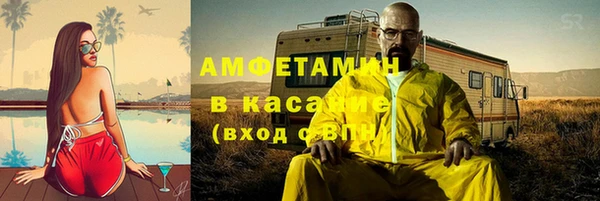 амф Каменка