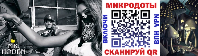 Купить где  Вытегра  Галлюциногенные грибы MAGIC MUSHROOMS 
